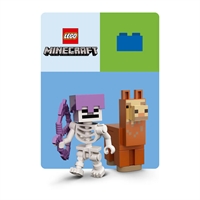 Picture for category LEGO® Minecraft™